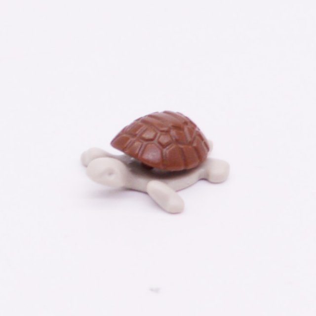 Playmobil 30220903 30220913 Baby Schildpad Compleet - Baby Turtle Complete ,  groot uit kunststof in de kleur grijs. Geschikt vanaf 3+.